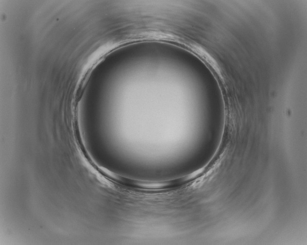 X0000090491381200707131316