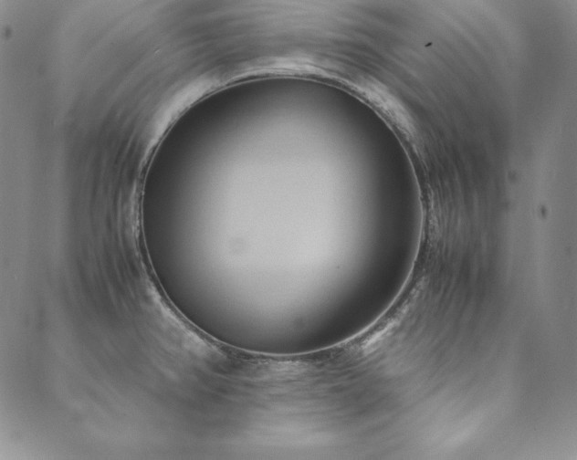 X0000090491382200707131316