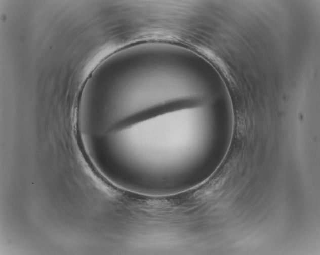 X0000090491383200707131316