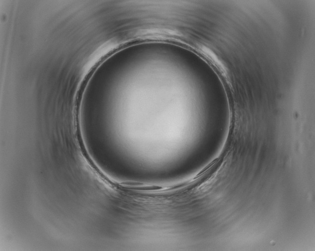 X0000090491384200707131316