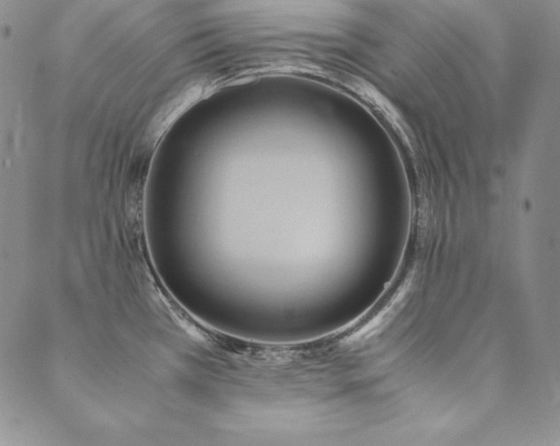 X0000090491385200707131316