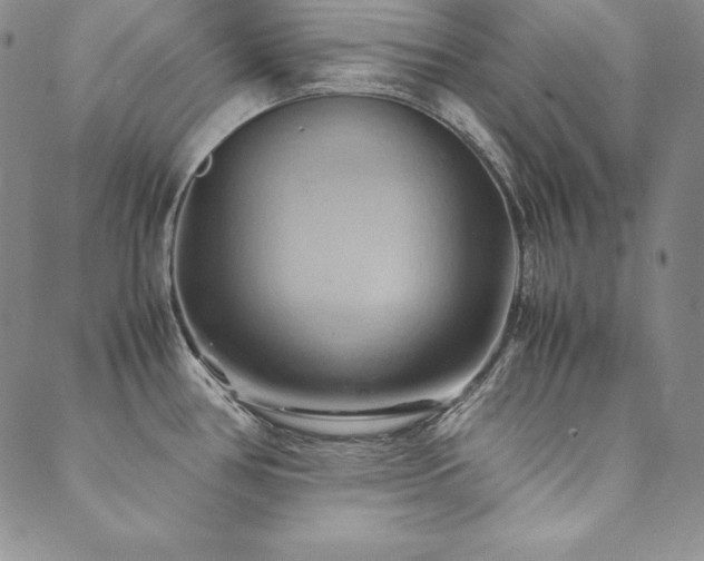 X0000090491386200707131316