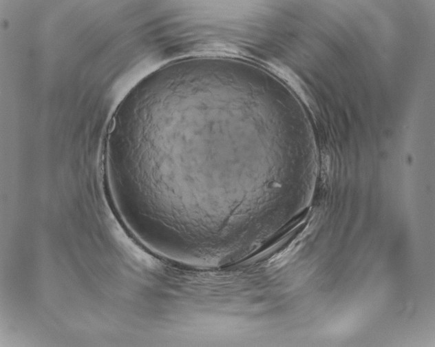 X0000090491387200707131316