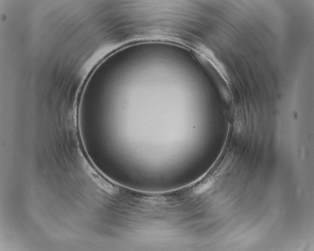 X0000090491388200707131316