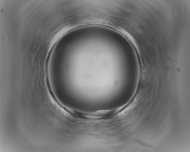 X0000090491389200707131316