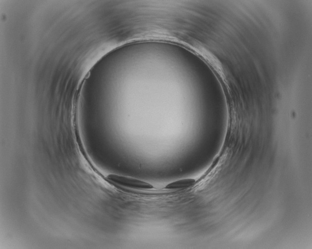 X0000090491390200707131316