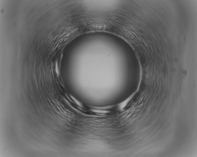 X0000090491394200707131315