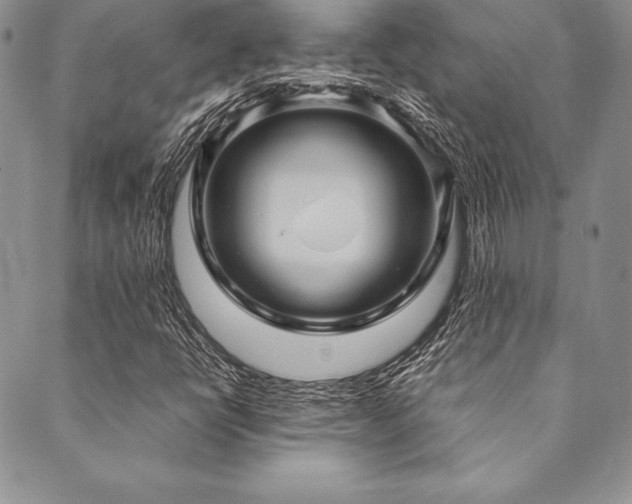 X0000090491398200707131316