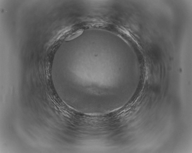 X0000090491399200707131316