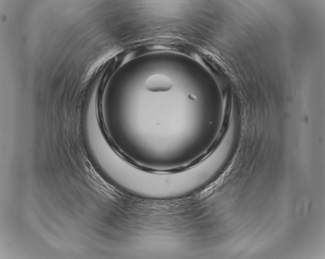 X0000090491402200707131316