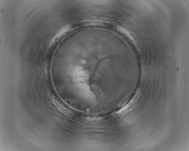 X0000090491403200707131316