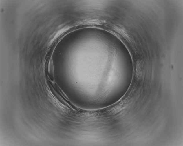 X0000090491404200707131316