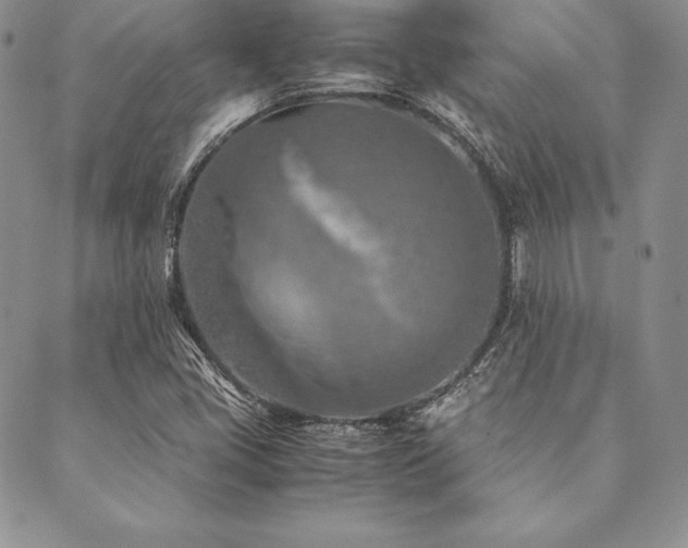X0000090491405200707131316
