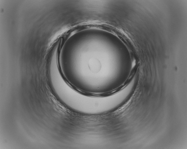 X0000090491406200707131316