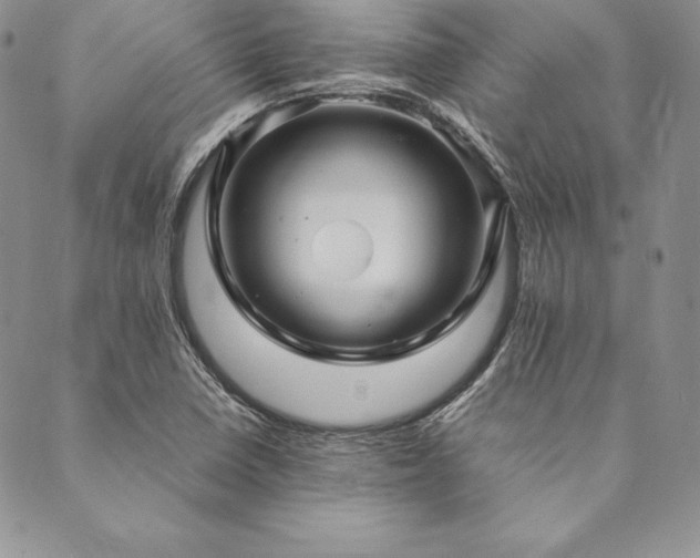 X0000090491410200707131316