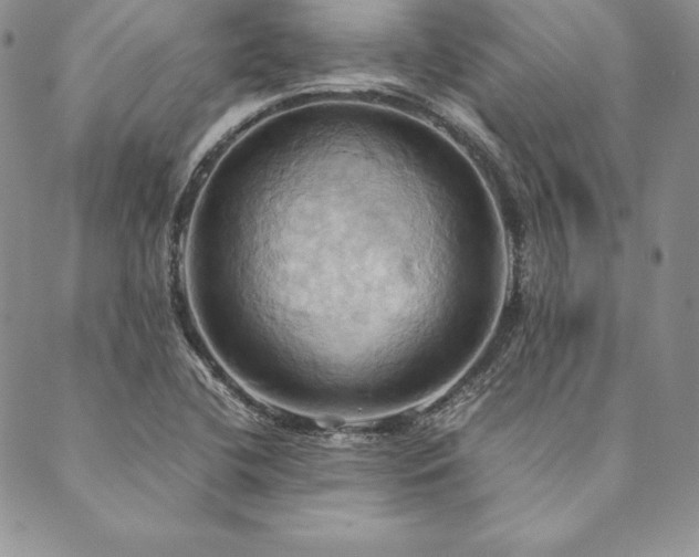 X0000090491412200707131316