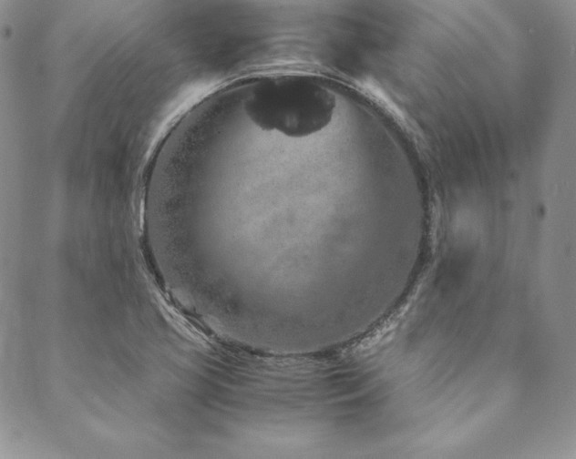 X0000090491413200707131316