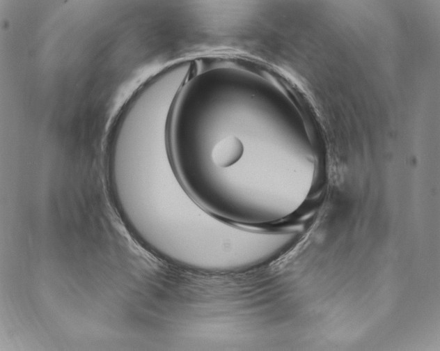 X0000090491414200707131316