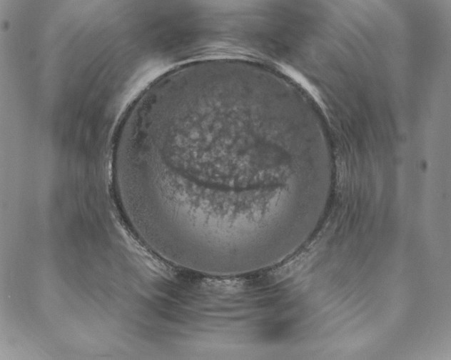 X0000090491415200707131316