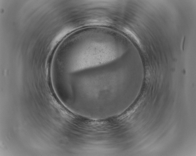 X0000090491419200707131316