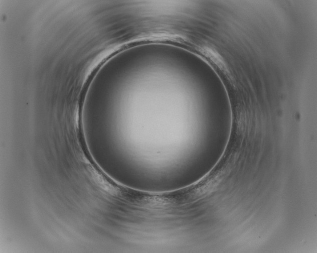 X0000090491420200707131316