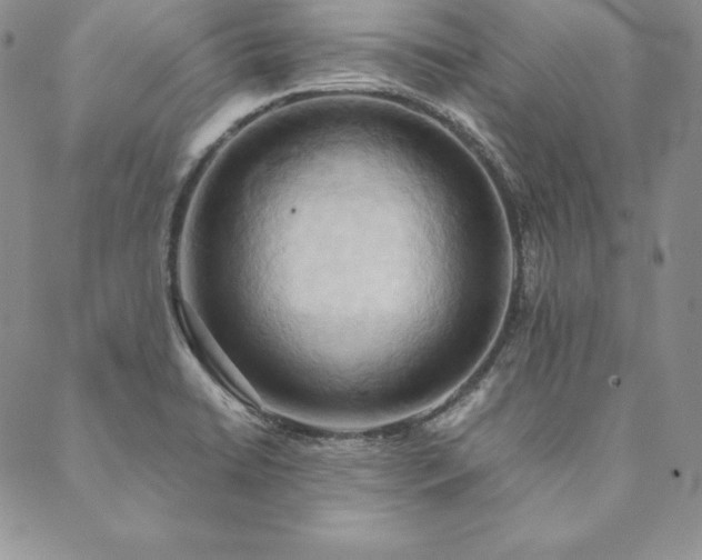 X0000090491422200707131316