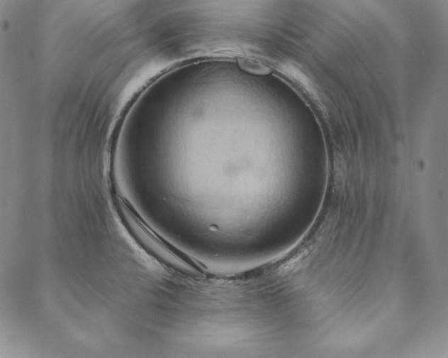 X0000090491424200707131316