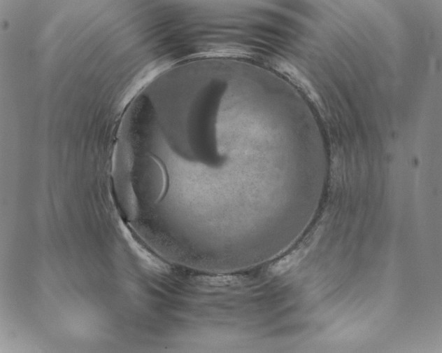 X0000090491425200707131316