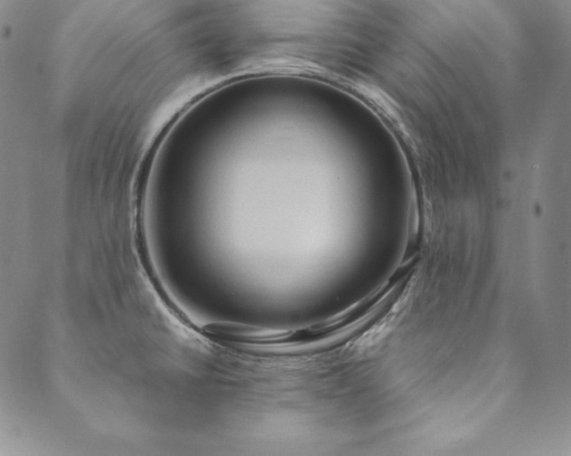 X0000090491430200707131316