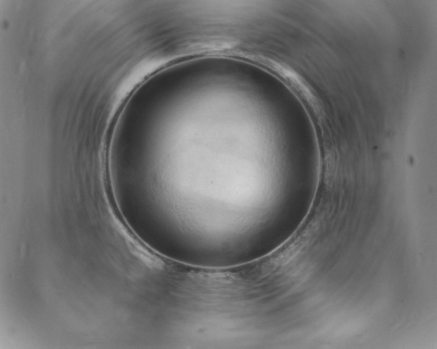 X0000090491432200707131316