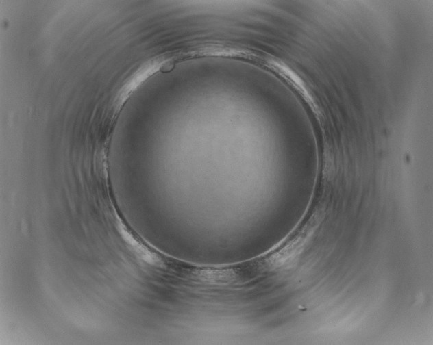 X0000090491433200707131316