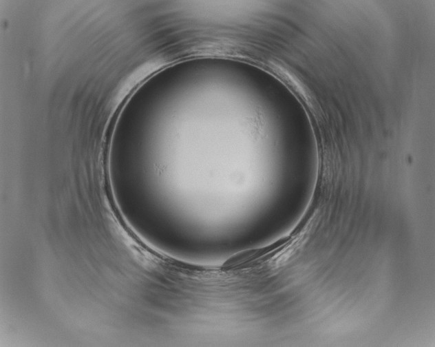 X0000090491434200707131316