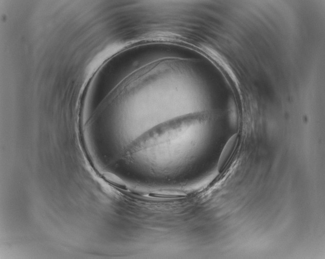 X0000090491437200707131316