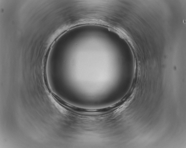 X0000090491438200707131316