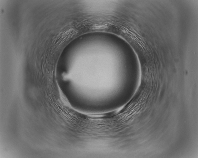 X0000090491441200707131315