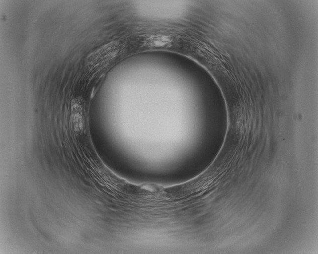 X0000090491442200707131315
