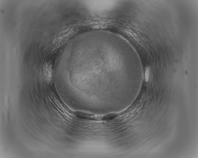 X0000090491444200707131315