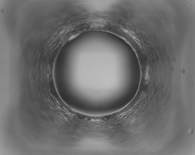 X0000090491445200707131315