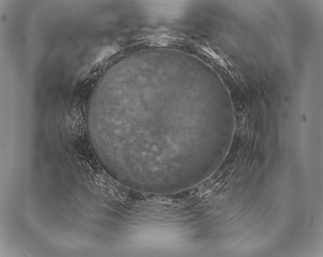 X0000090491446200707131315
