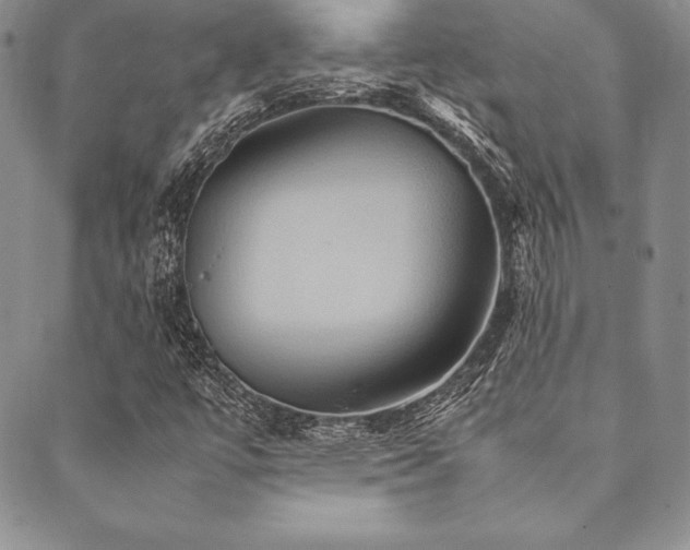 X0000090491447200707131315