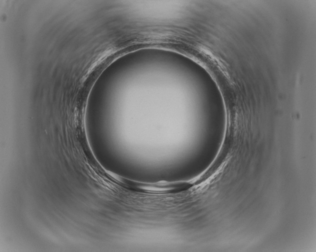 X0000090491449200707131315
