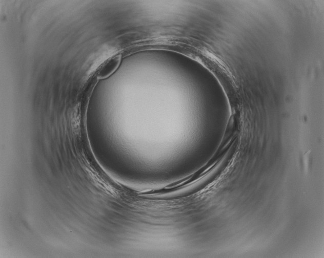X0000090491450200707131315