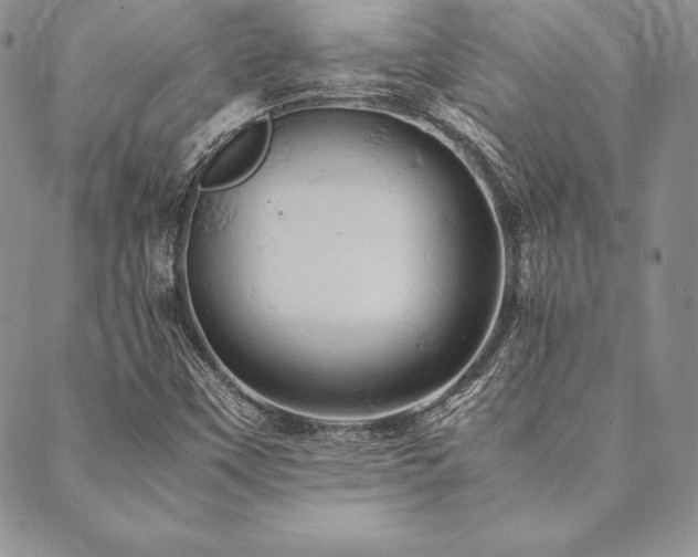 X0000090491451200707131315