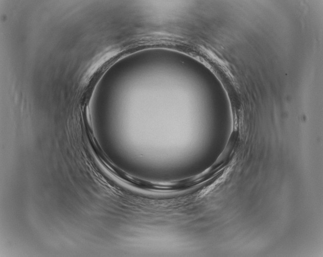 X0000090491453200707131315