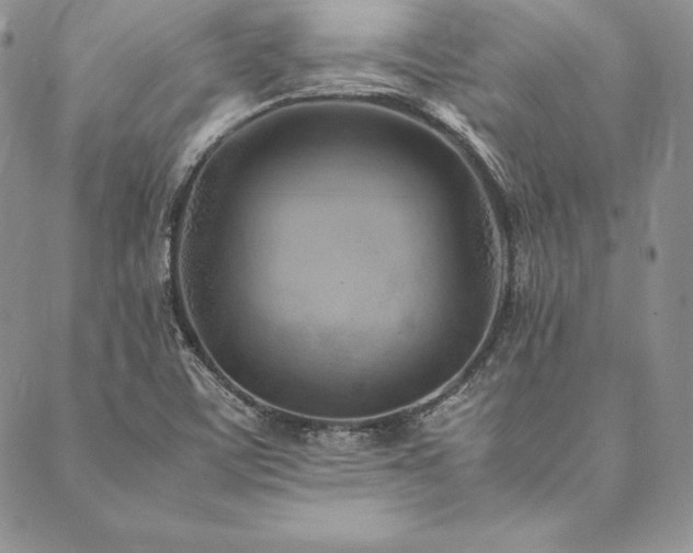 X0000090491459200707131315