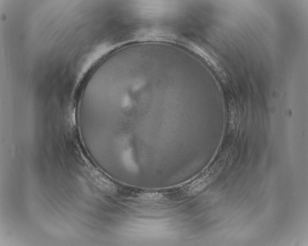 X0000090491462200707131315