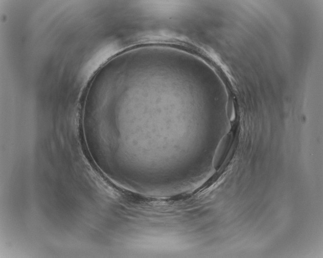 X0000090491463200707131315