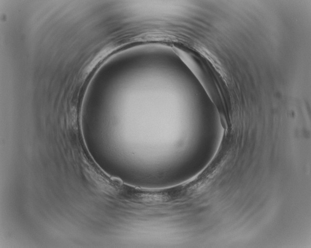 X0000090491465200707131315
