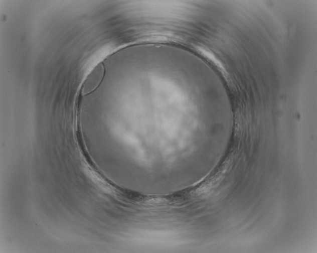 X0000090491467200707131315