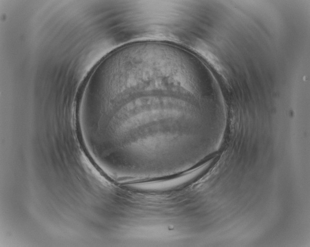 X0000090491468200707131315